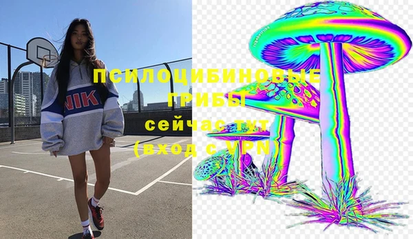 гашиш Белокуриха